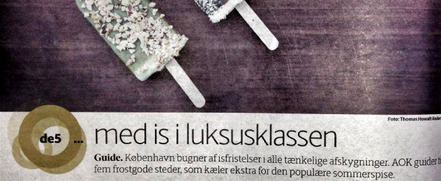 BERLINGSKE: DE FEM MED IS I LUKSUSKLASSEN